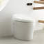 Karing Skirted One-Piece Elongated Toilet with Bidet Functionality