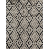 Wool Ikat Area Rug