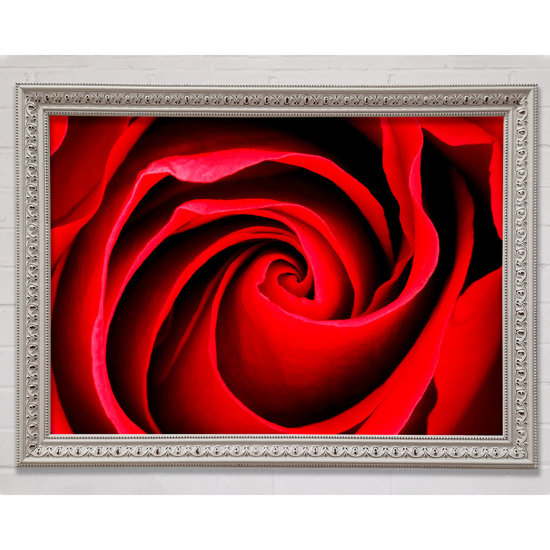 Gerahmtes Leinwandbild Red Rose Silk