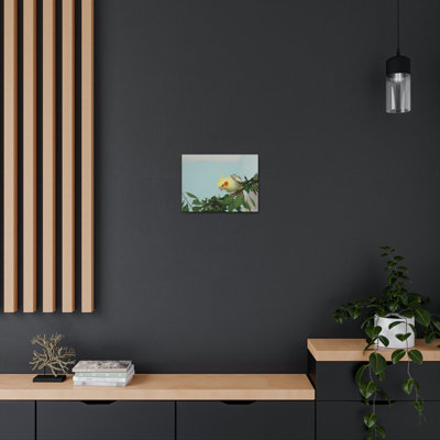 Wall Art on Canvas