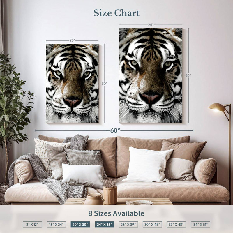 Regard de tigre blanc Brampt, H 36 po x l 24 po