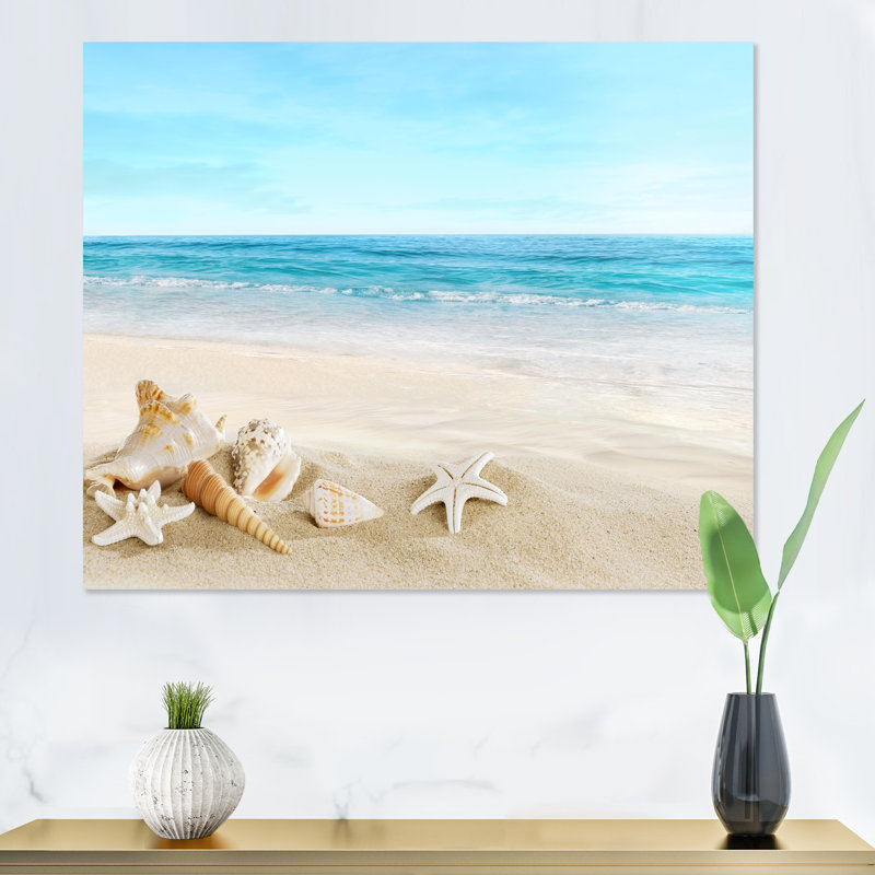 " Landscape With Shells On Tropical Beach ", 30" H x 40" W, Wrapped Canvas