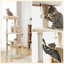 Arbre à chat H 56,3 po Eluster-1397869804-1397869806