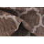 Contemporary Veranda Area Rug Mushroom Colour-40283689