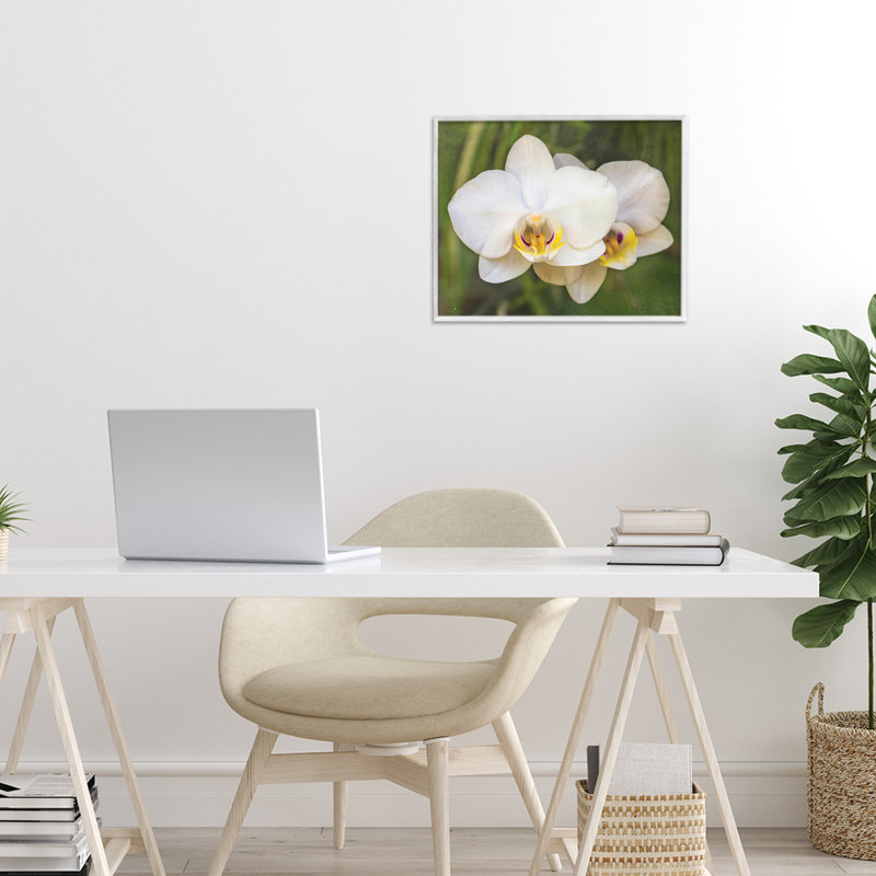 Orchidée Blossom Glow, estampe numérique, design par Seven Trees Design, H 11 po x l 14 po