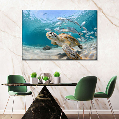 Curacao, poisson et tortue sur toile