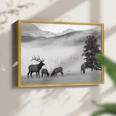 Mountain Elk -Framed Print - Restickable