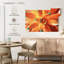 Plante grasse orange Harnek-107703314
