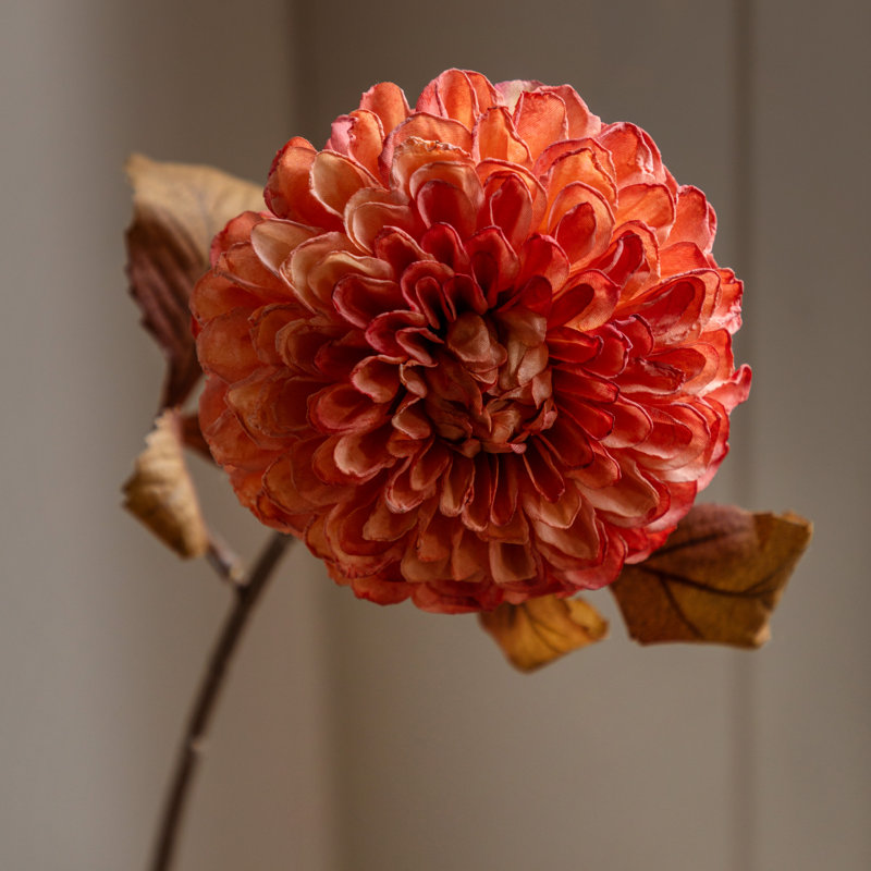 Faux Stem Dahlia Orange 730mm (6pk), Orange