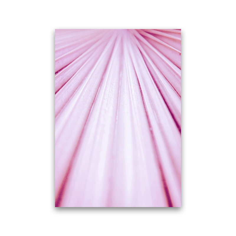 Pink Palm Leaf 1 Piece Wall Art, 42cm H x 30cm W x 1cm D, Unframed