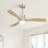 Ventilateur de plafond moderne à 3 pales de 52 po avec télécommande et ensemble d'éclairage Nicola