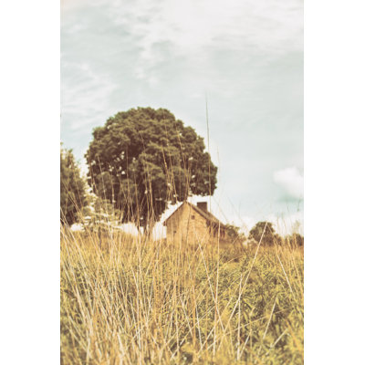 Herbe et ciel clair