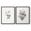 «Vintage Floral XXV», impression giclée sur cadre - ensemble de 2-1839849056-1839849061