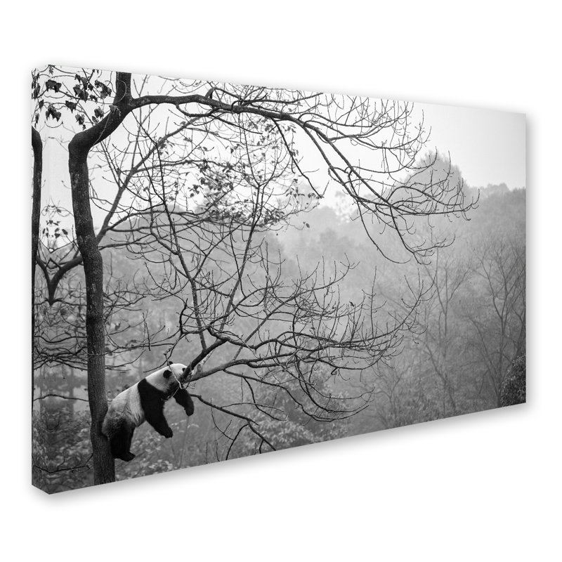 « relax », reproduction de photo sur toile tendue, H 22 po x l 32 po