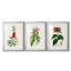 «Pretty Pink Botanicals VII», reproduction sur mesure encadrée de qualité supérieure - 3 pièces-550655973-550655972