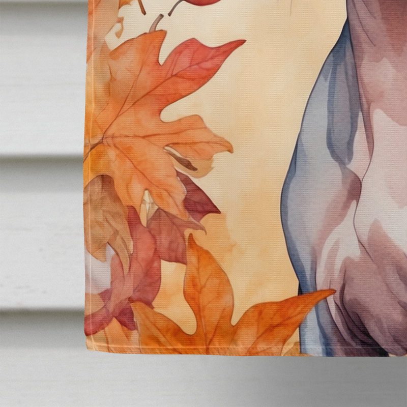 Chat en feuilles d'automne, Peterbald
