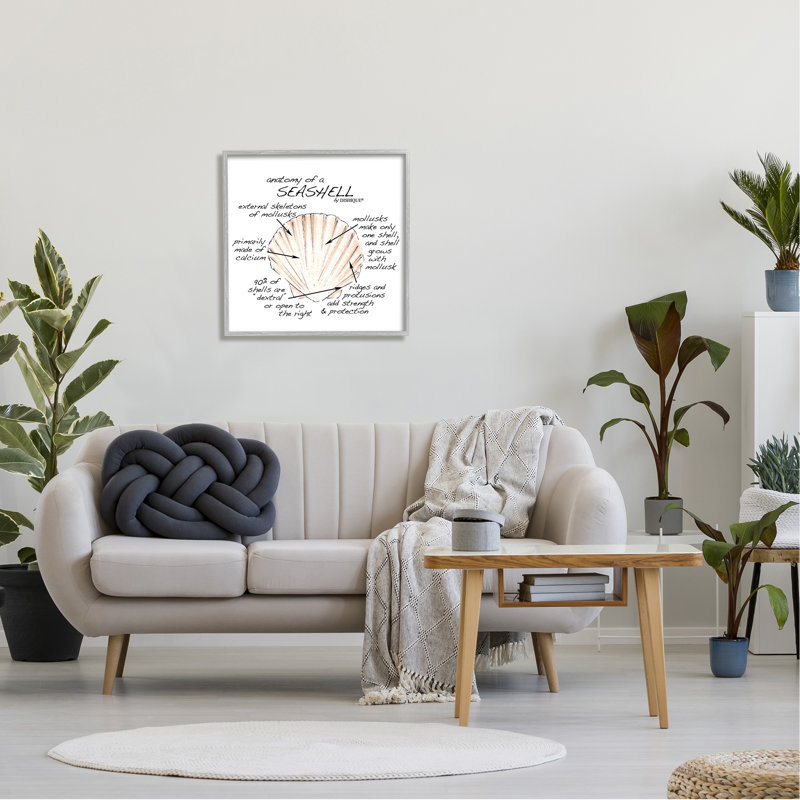 Anatomy Of Seashell, H 24 po x l 24 po x P 1,5 po, Estampe numérique Farmhouse