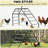 Chicken Activity Shelf,Chicken Coop Perches