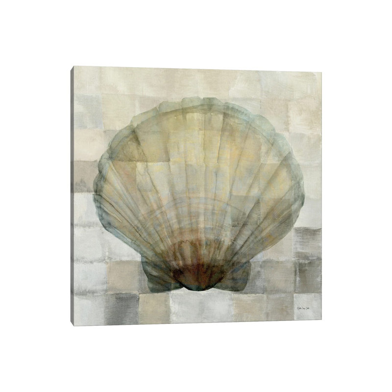 Scallop Shell by Stellar Design Studio - Painting on Canvas, Wrapped Canvas, 30.48 cm H x 30.48 cm W