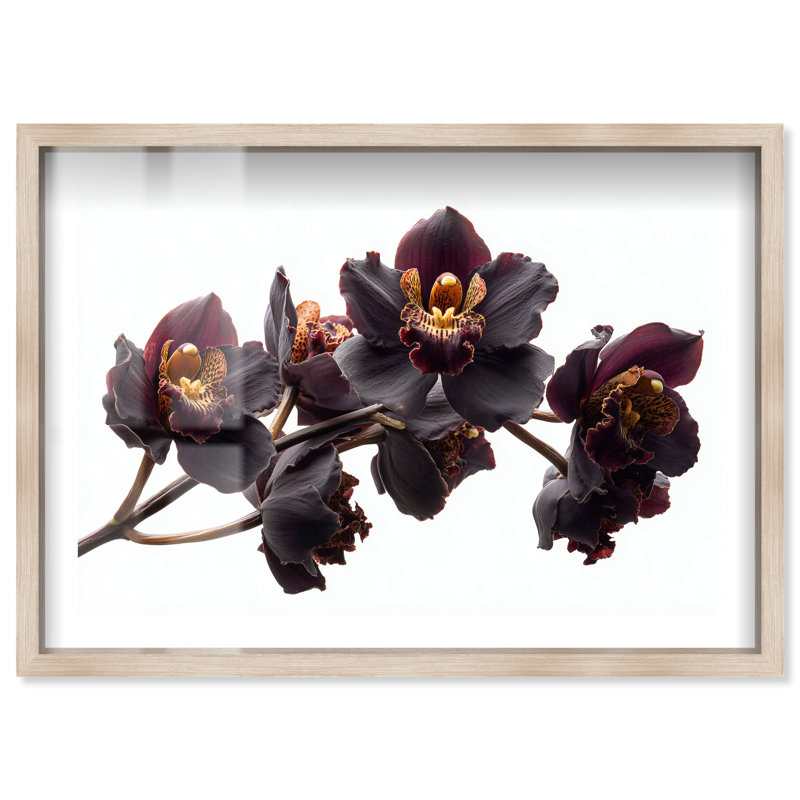 «Dark Orchid II Shadowbox», reproduction d'art mural par Notoriart, cadre blond, 54 x 36, H 37 po x l 55 po, Cadre blond
