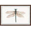 Dual Wings - Single Picture Frame Painting-731440011