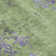 Machine Washable Indoor/Outdoor Xhevrie Aloe Rug
