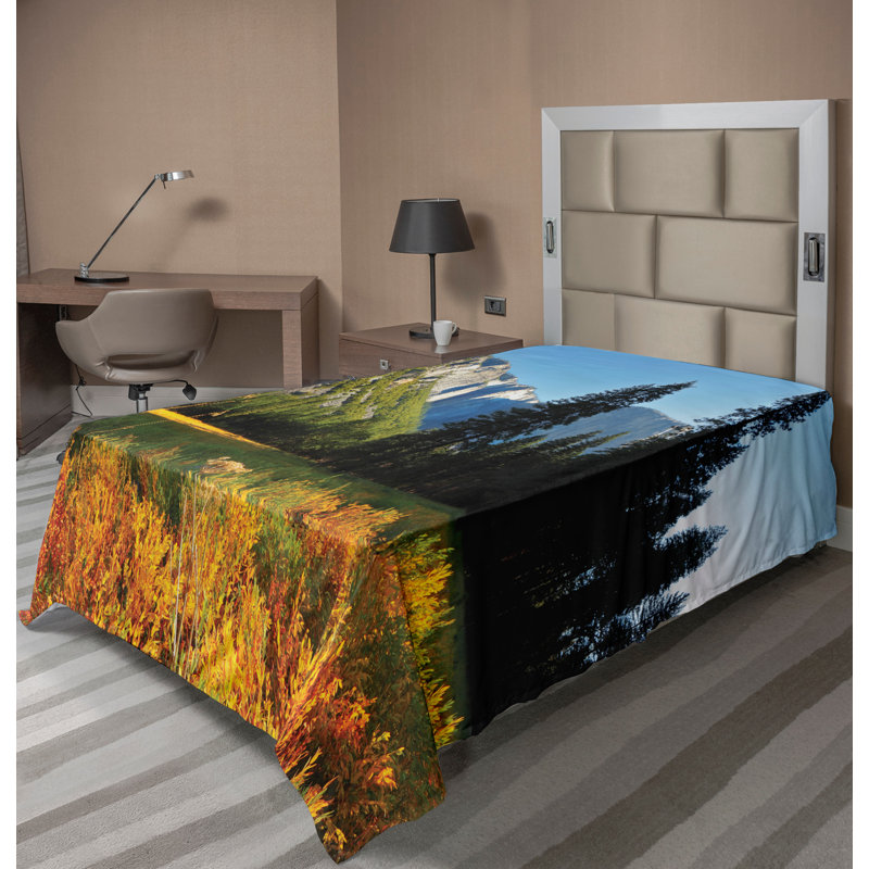 Drap plat Ambesonne