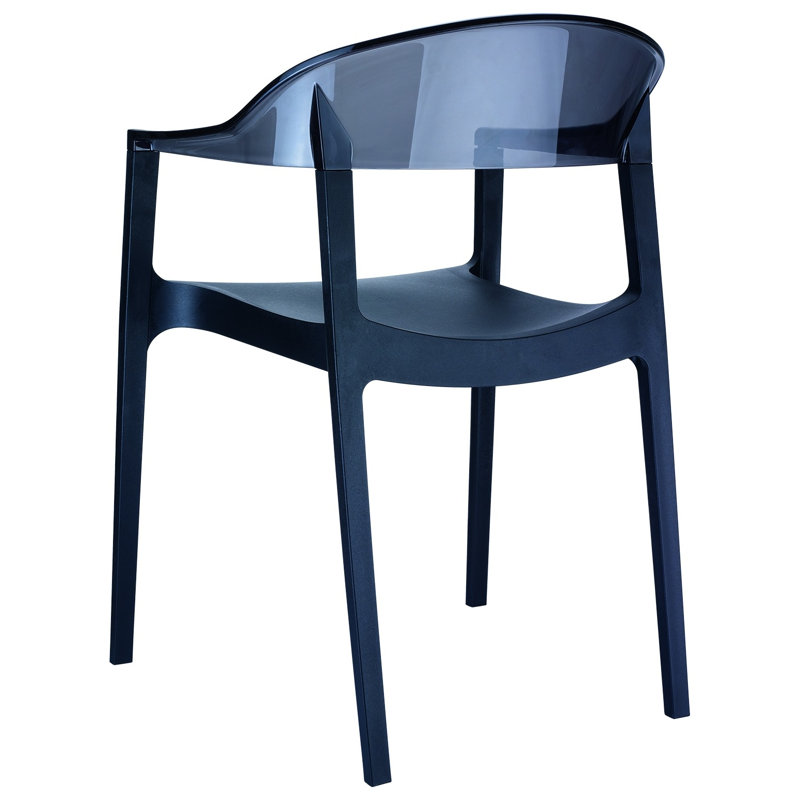 Fauteuil de salle à manger Stella, Noir / noir transparent
