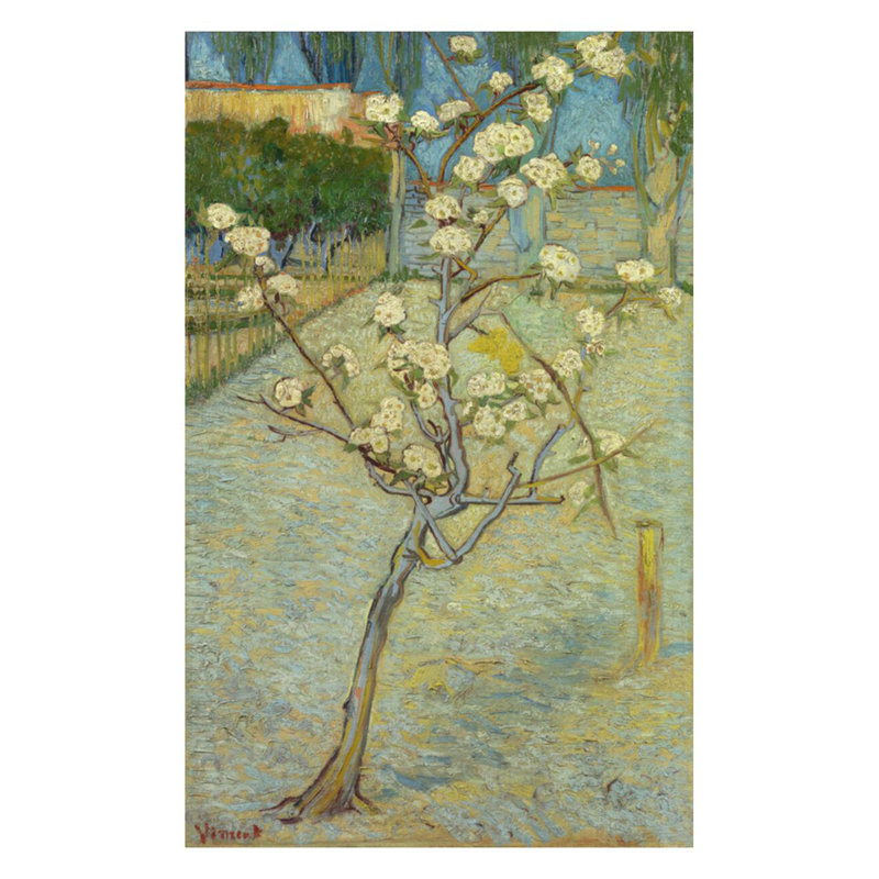 Petit poirier en fleurs par Vincent van Gogh - Impression giclée, H 28 po x l 22 po