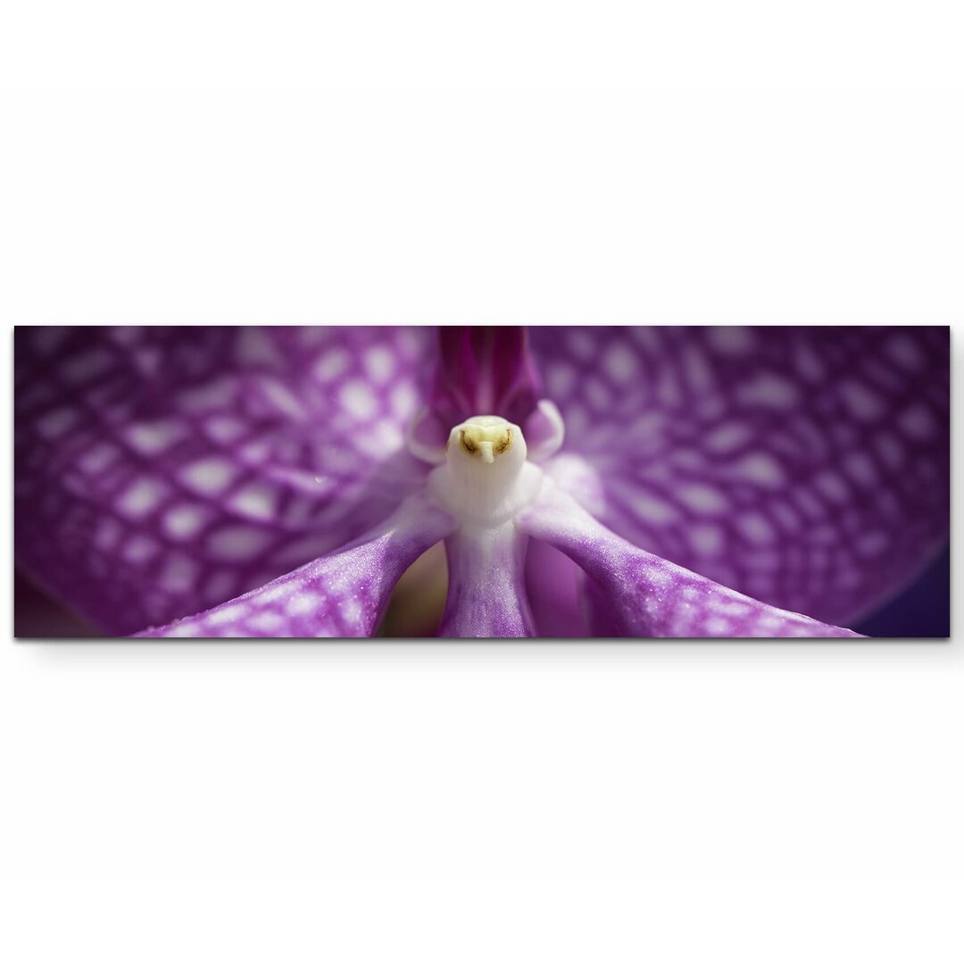 Leinwandbild Lila Orchidee in Vogelform