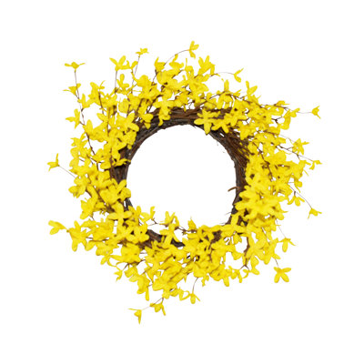 Couronne de forsythia 20 po