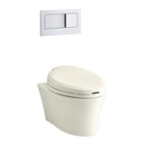 Veil One-Piece Elongated Dual-Flush Wall-Hung Toilet with C3 Bidet Toilet Seat and 2"X6" In-Wall Tank and Carrier System