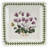 Portmeirion Botanic Garden Square Plate 7"