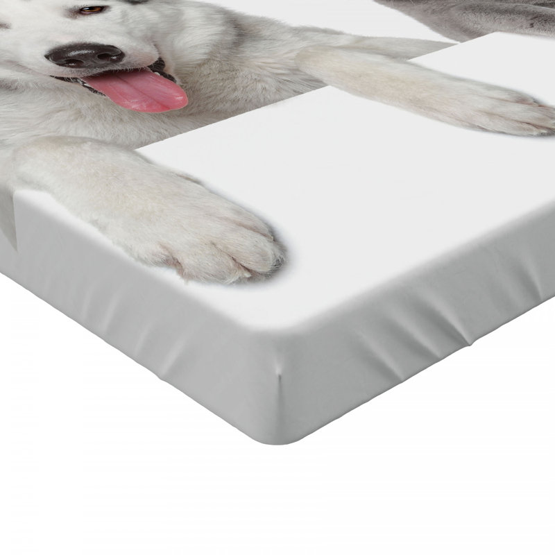 Microfiber Fitted Sheet, Twin Fitted Sheet