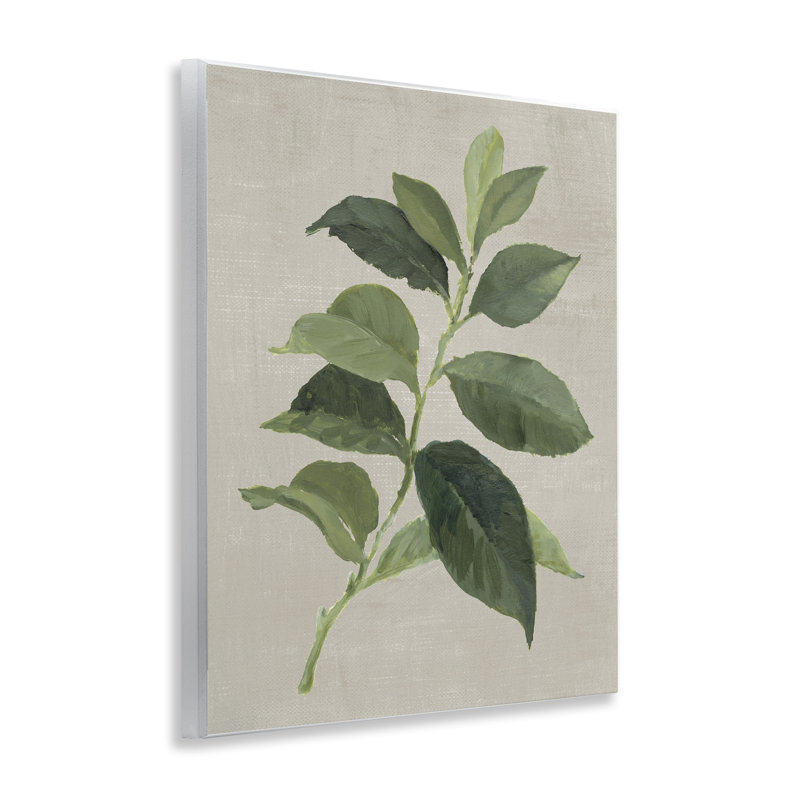Plaque murale Arabica Coffee Plant Leaf, design par Lanie Loreth