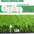 Fasward Outdoor Artificial Grass-89797121