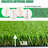 Fasward Outdoor Artificial Grass-89797170