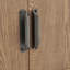 Adamine 2 - Door Rectangle Accent Cabinet