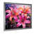 Silver Single Picture Framed