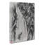 Eagle & Monkey By A Waterfall by Katsushika Hokusai - Wrapped Canvas-55342681