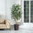 Adcock UV Protected Artificial Ficus Tree with Decorative Base, Faux Ficus Plant with Natural Trunk-1914722526-1914722520