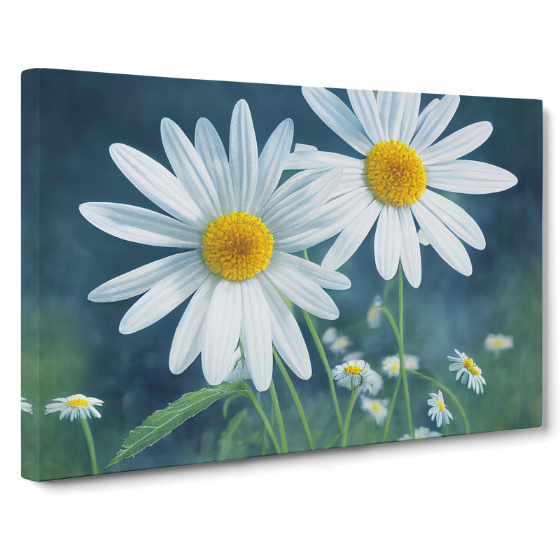 Pretty Daisy Flowers - Wrapped Canvas Print, 40cm H x 60cm W x 3cm D