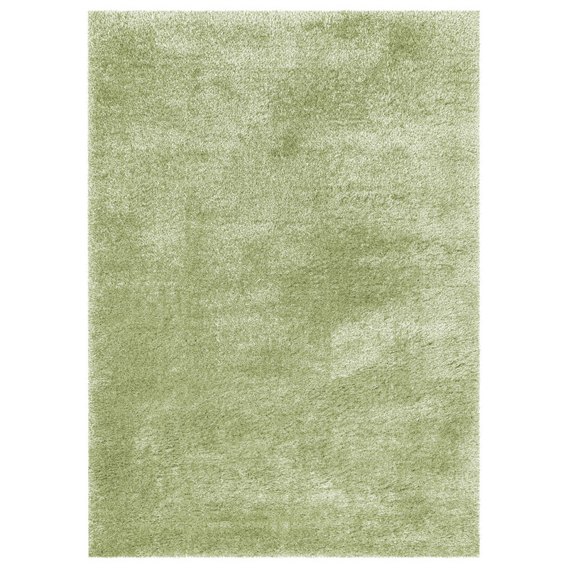 Caylob Shag Indoor / Outdoor Area Rug, Rectangle 120 x 170 cm