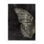 Tom Quartermaine Grunge Butterfly Canvas Art-1898427943