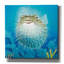 «Puffer Fish» par Durwood Coffey, art mural sur toile-1773949297