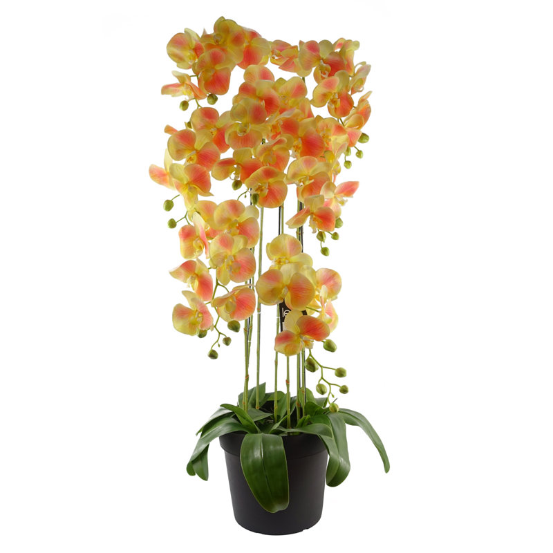 Real Touch Artificial Orchids Plastic, Silk Artificial Arrangement in Planter, 110cm H x 40cm W x 40cm D, Yellow