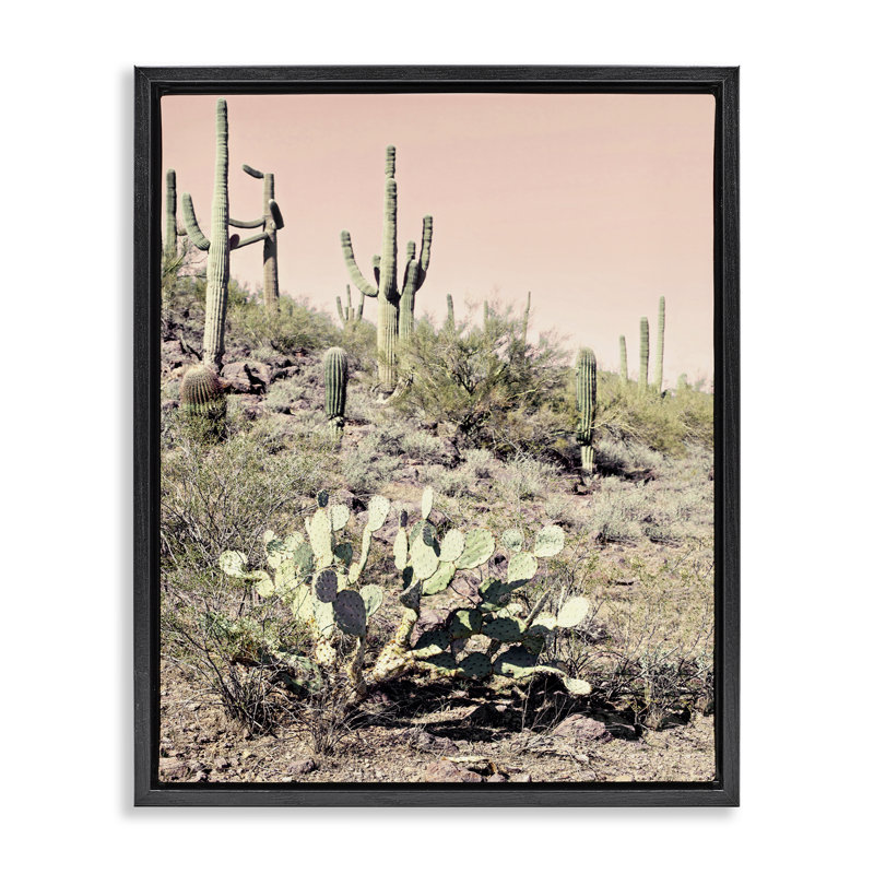 «Rustic Desert Scene», art mural encadré sur toile flottante par Susan Bryant, H 31 po x l 25 po, Cadre flottant gris lustré