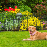 Cambria 80cm H x 60cm W Metal Fence Panels Included