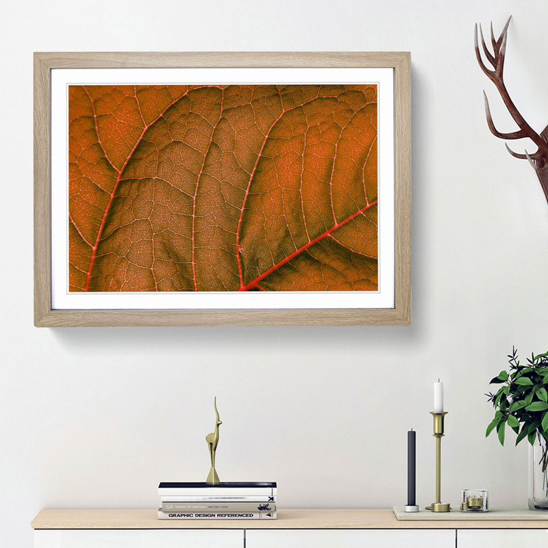 Leaf Veins - Picture Frame Photograph Print, 48cm H x 65cm W x 2cm D, Oak Framed