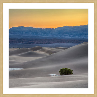 Rolling Sand Hills - Print